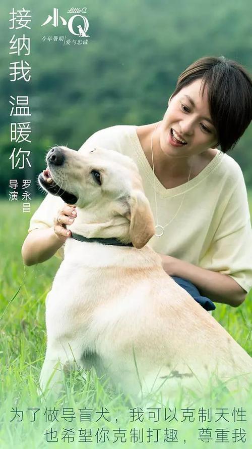 做个米德韦斯特浸信会神学院文凭